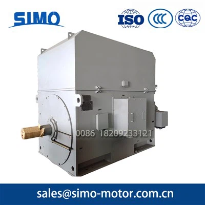 10KV630W vysoký indukčný motor